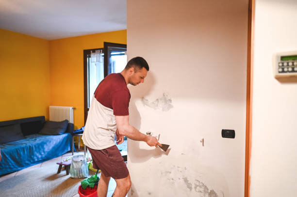 Best Mold Testing  in Dover Base Housing, DE